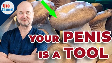 penis mushroom head|Glans Penis Function, Pictures & Definition 